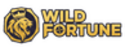 Wild Fortune Casino Logo